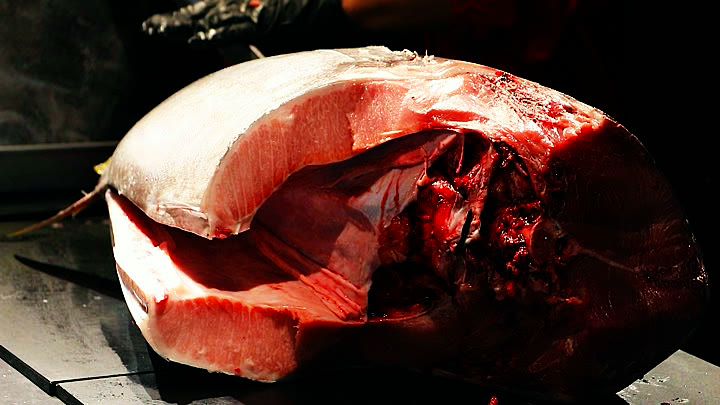 Cross-section of the bluefin tuna after the head is removed